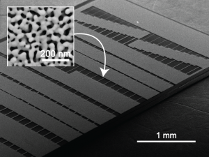 Freestanding nanoporous gold beam array