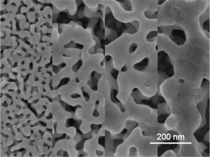 Tunable nanoporous gold morphology